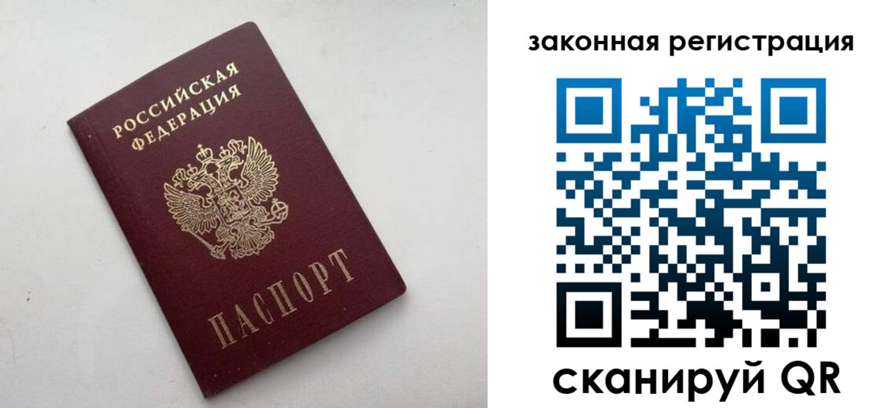 прописка гарантия в Чкаловске